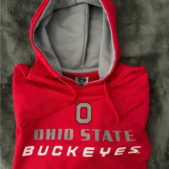 #202 OHIO STATE BUCKEYES (stadium) HOODIE - Picture 10 of 10